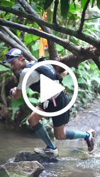 BIB:  <button type="button" onclick="openModal(27507738)" class="btn btn-primary btn-sm float-right" data-toggle="modal" data-target=".modal-high-quality">
                <i class="fa fa-download"></i> Download
                </button>